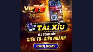 Giới thiệu về game tài xỉu Vip79